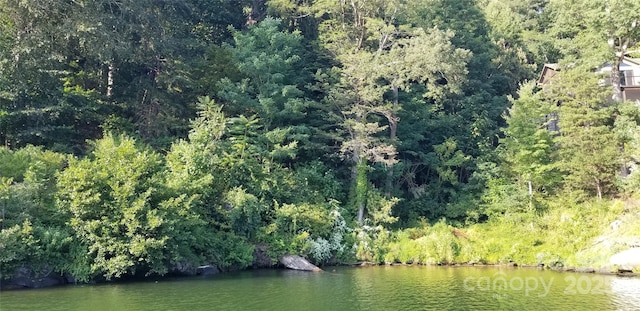0 Chapel Point Rd Unit 14, Lake Lure, NC 28746