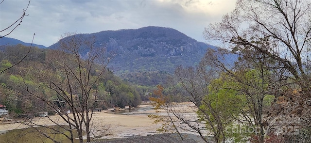 0 Chapel Point Rd Unit 14, Lake Lure, NC 28746