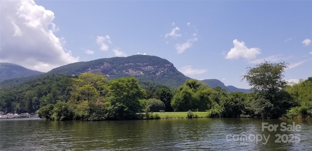 0 Chapel Point Rd Unit 14, Lake Lure, NC 28746
