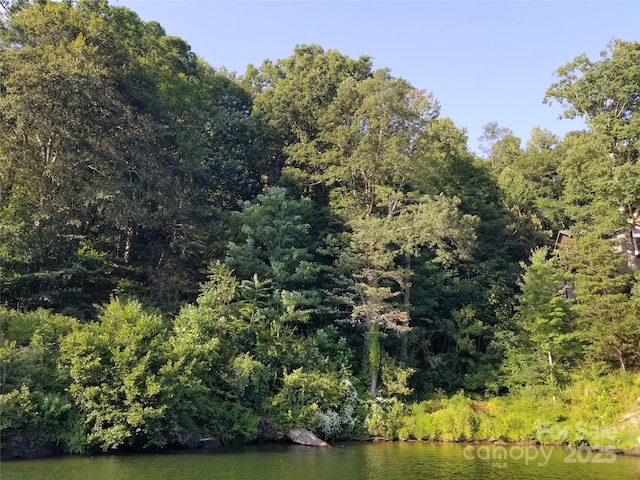 0 Chapel Point Rd Unit 14, Lake Lure, NC 28746