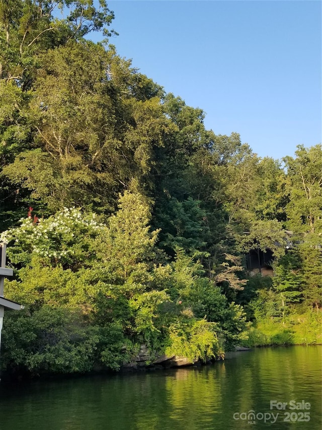 0 Chapel Point Rd Unit 14, Lake Lure, NC 28746
