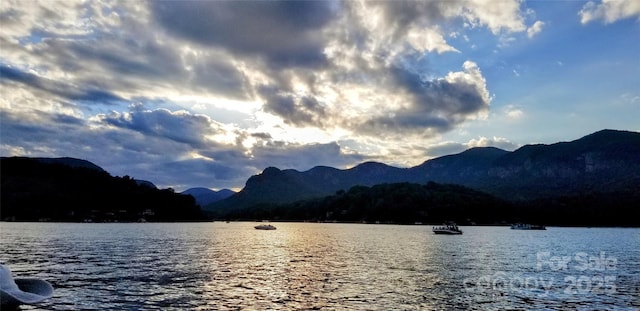 0 Chapel Point Rd Unit 14, Lake Lure, NC 28746