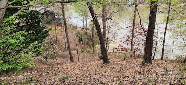 0 Chapel Point Rd Unit 14, Lake Lure, NC 28746
