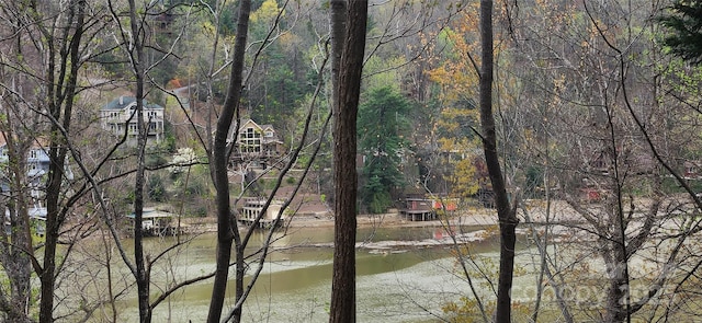 0 Chapel Point Rd Unit 14, Lake Lure, NC 28746