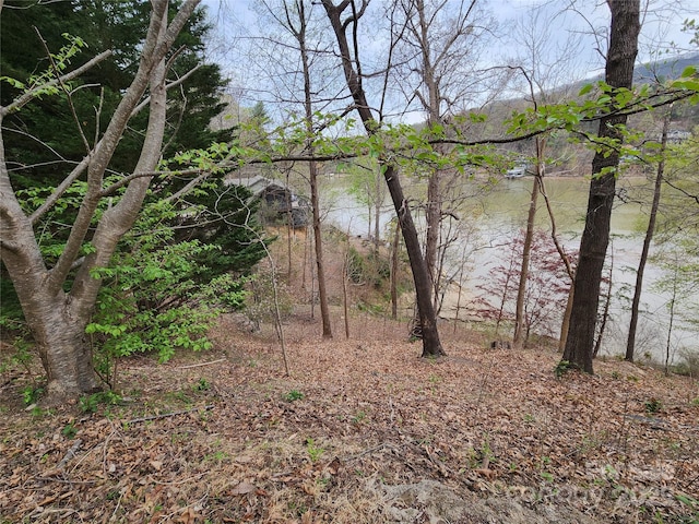 0 Chapel Point Rd Unit 14, Lake Lure, NC 28746