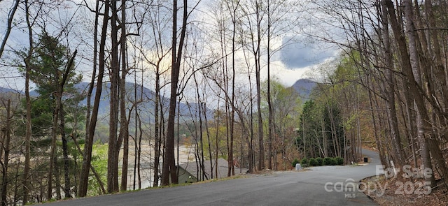 0 Chapel Point Rd Unit 14, Lake Lure, NC 28746