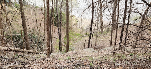 0 Chapel Point Rd Unit 14, Lake Lure, NC 28746