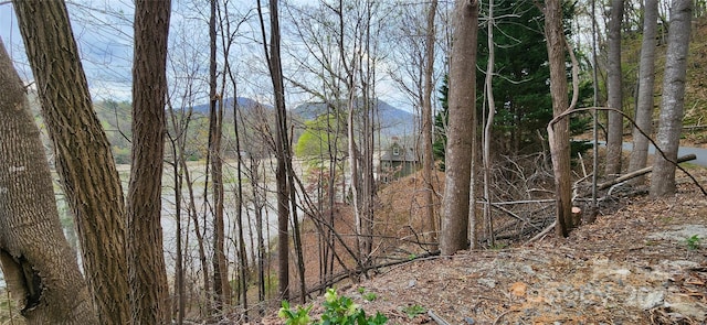 0 Chapel Point Rd Unit 14, Lake Lure, NC 28746