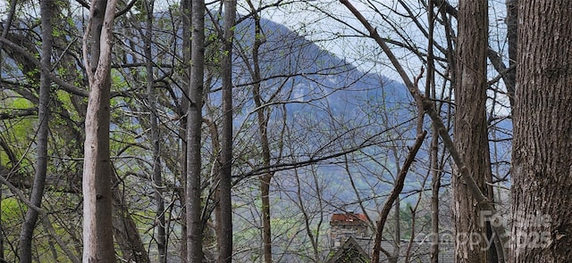 0 Chapel Point Rd Unit 14, Lake Lure, NC 28746