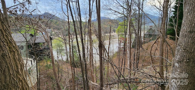 0 Chapel Point Rd Unit 14, Lake Lure, NC 28746