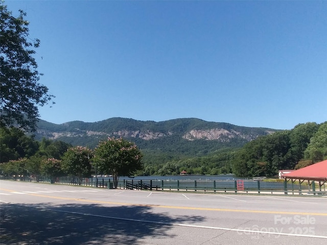 0 Chapel Point Rd Unit 14, Lake Lure, NC 28746