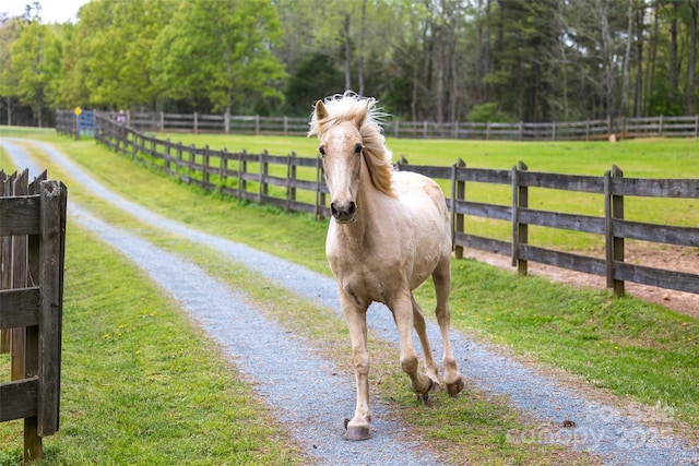 7712 Old Waxhaw Monroe Rd, Waxhaw, NC 28173 - horse barn with a view of rural / pastoral area and a view of trees