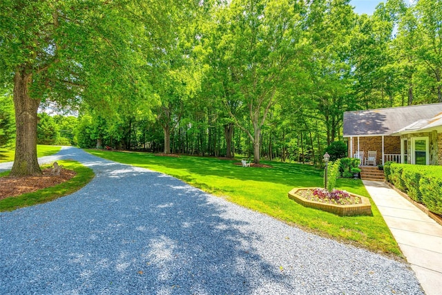 7712 Old Waxhaw Monroe Rd, Waxhaw, NC 28173 - view of home's community with a yard and driveway