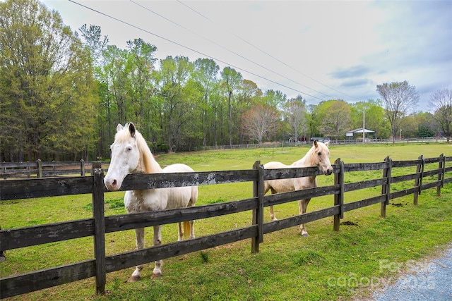 7712 Old Waxhaw Monroe Rd, Waxhaw, NC 28173 - gate with a view of rural / pastoral area