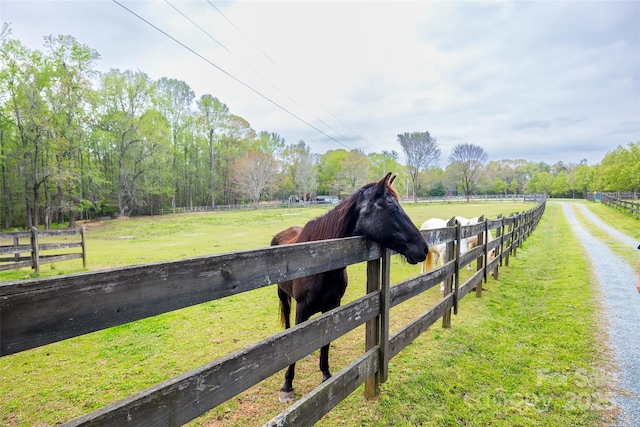 7712 Old Waxhaw Monroe Rd, Waxhaw, NC 28173 - view of yard with a view of rural / pastoral area