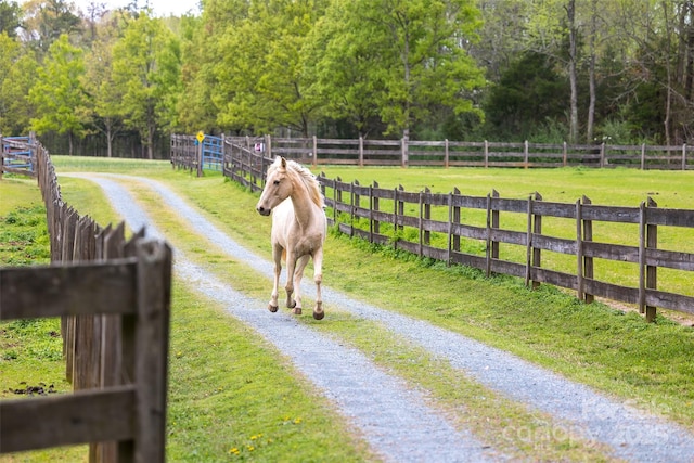 7712 Old Waxhaw Monroe Rd, Waxhaw, NC 28173 - stable featuring a rural view and a wooded view