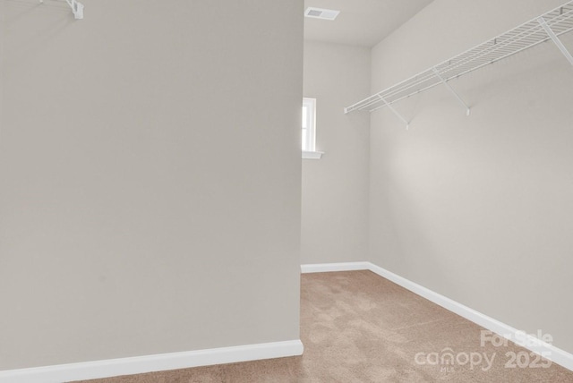 7101 Agnew Dr, Charlotte, NC 28273 - photo 26