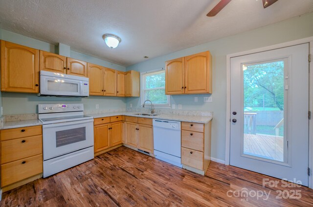 109 Chapman Dr, Asheville, NC 28805 - photo 5