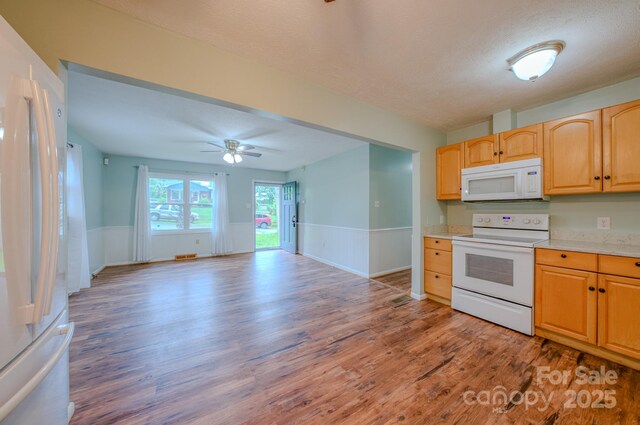 109 Chapman Dr, Asheville, NC 28805 - photo 9