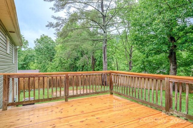 109 Chapman Dr, Asheville, NC 28805 - photo 41