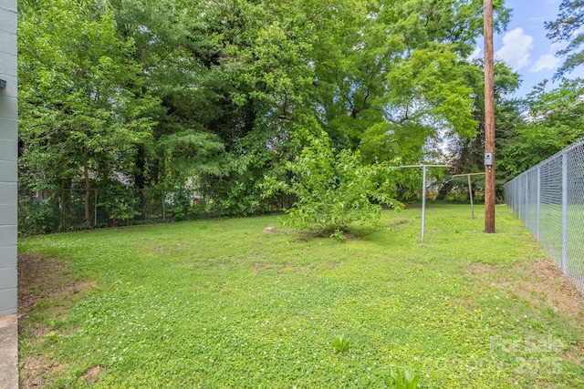 222 W Mccubbins St, Salisbury, NC 28144 - view of yard