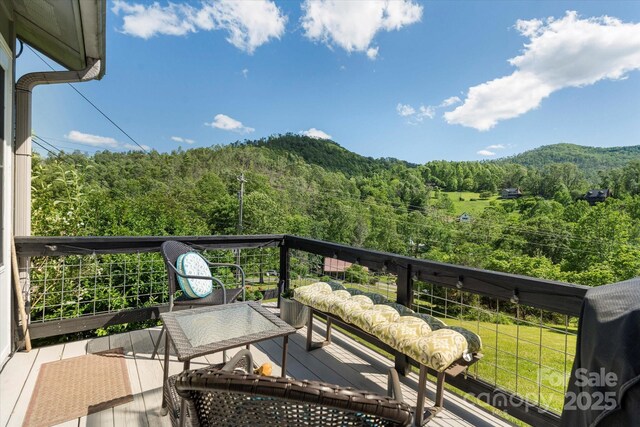 1786 Fork Mountain Rd, Bakersville, NC 28705 - photo 18