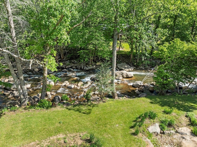 1786 Fork Mountain Rd, Bakersville, NC 28705 - photo 21