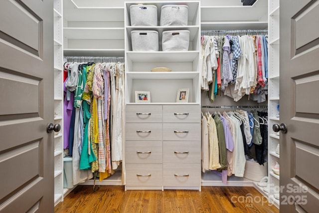 2221 Kenmore Ave, Charlotte, NC 28204 - walk in closet with wood finished floors