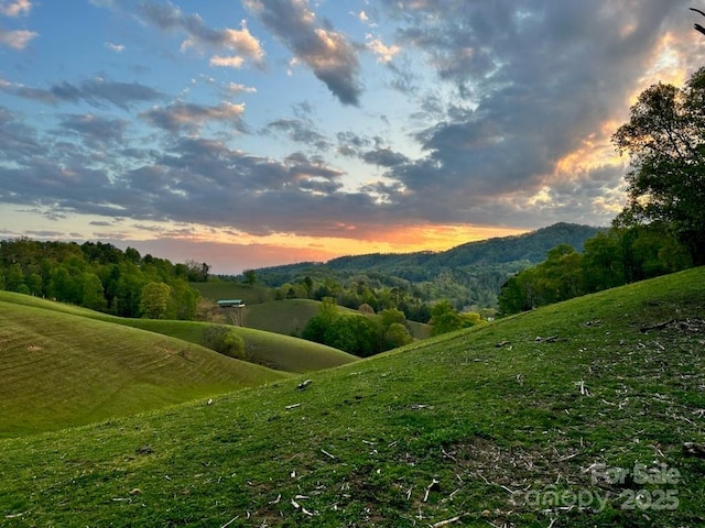 276 Morgan Branch Rd, Marshall, NC 28753 - view of mountain background
