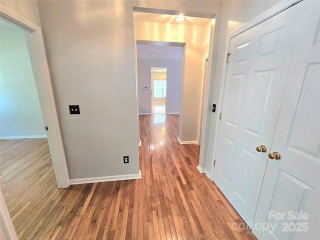 2226 Elendil Ln, Charlotte, NC 28269 - photo 22