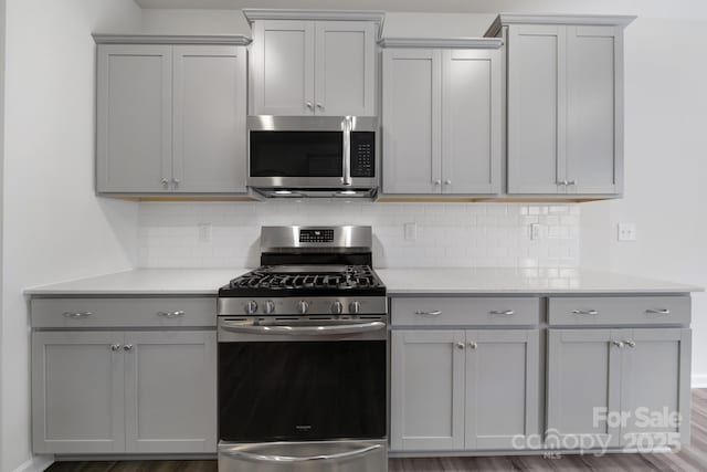 300 Kennerly Center Dr, Mooresville, NC 28115 - kitchen featuring stainless steel appliances, gray cabinetry, decorative backsplash, and light countertops