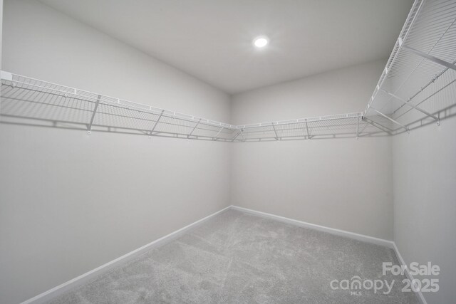 300 Kennerly Center Dr, Mooresville, NC 28115 - walk in closet with carpet floors