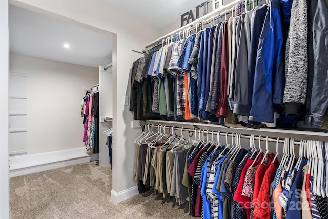 1035 15th Ave NW, Hickory, NC 28601 - spacious closet with carpet