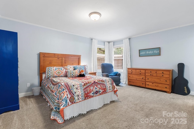 1035 15th Ave NW, Hickory, NC 28601 - bedroom with carpet floors and crown molding