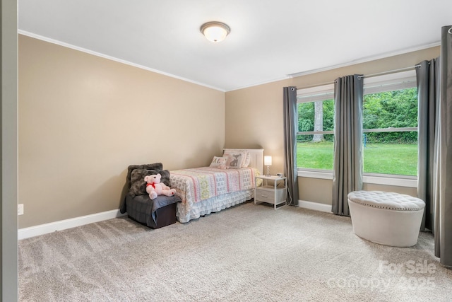 1035 15th Ave NW, Hickory, NC 28601 - bedroom with crown molding, baseboards, and carpet flooring