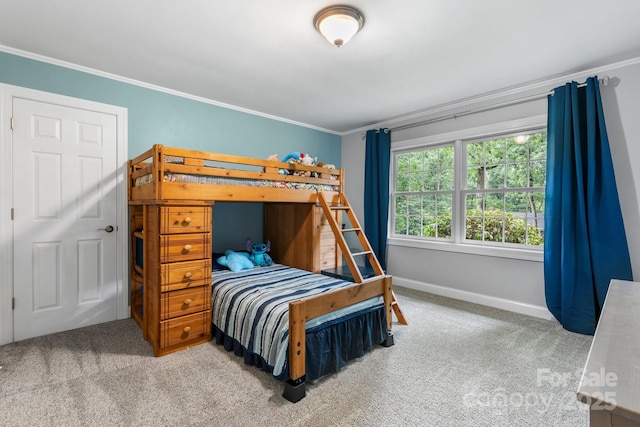1035 15th Ave NW, Hickory, NC 28601 - bedroom featuring carpet flooring, crown molding, and baseboards