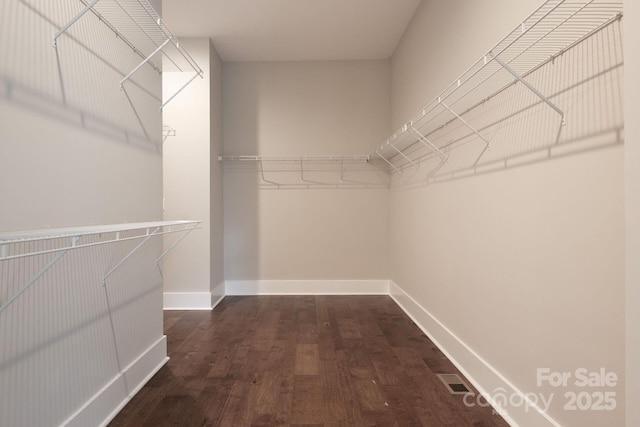 3009 Ocaso Ct, Matthews, NC 28104 - walk in closet featuring dark wood finished floors
