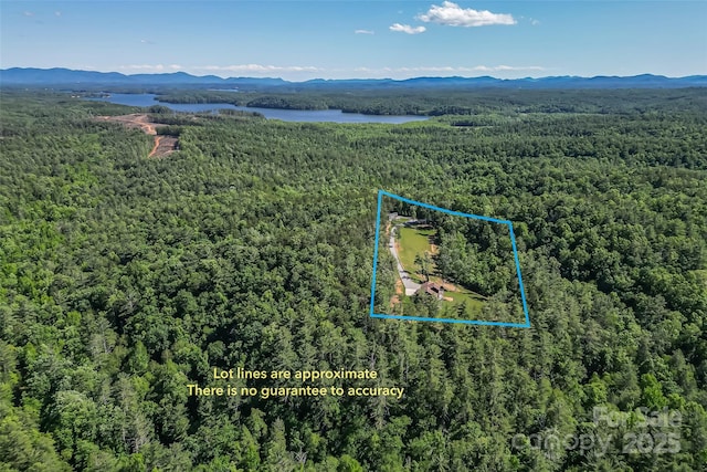 2508 Wolf Pit Rd, Morganton, NC 28655 - aerial overview of property's location with a forest, a water and mountain view, and property boundaries highlighted