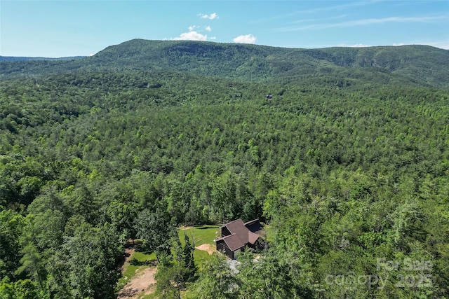 2508 Wolf Pit Rd, Morganton, NC 28655 - aerial view of property and surrounding area with a forest and a mountain backdrop