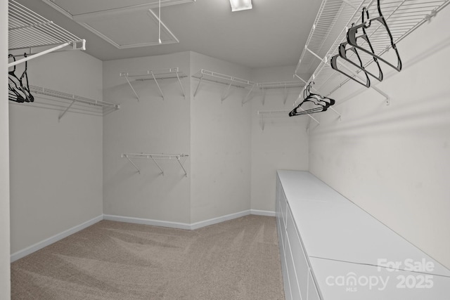 1035 Ivey Ct, Indian Land, SC 29707 - spacious closet featuring light carpet and attic access