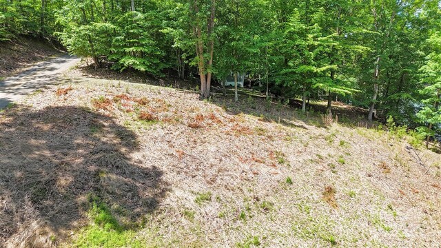 130 Seekirk Dr, Troutman, NC 28166