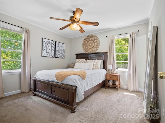 2451 Robert H Kirk Rd, Lancaster, SC 29720 - bedroom with multiple windows, light colored carpet, baseboards, and ornamental molding