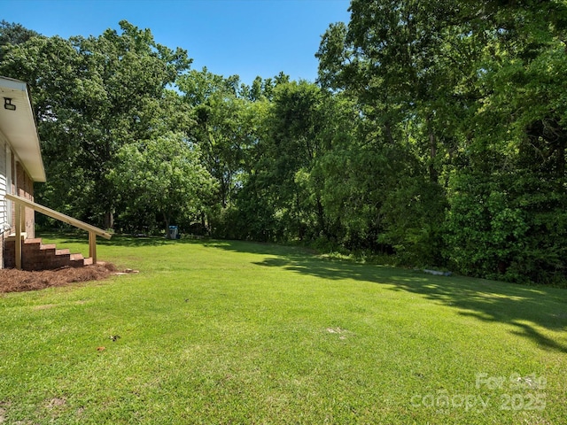 2451 Robert H Kirk Rd, Lancaster, SC 29720 - view of green lawn