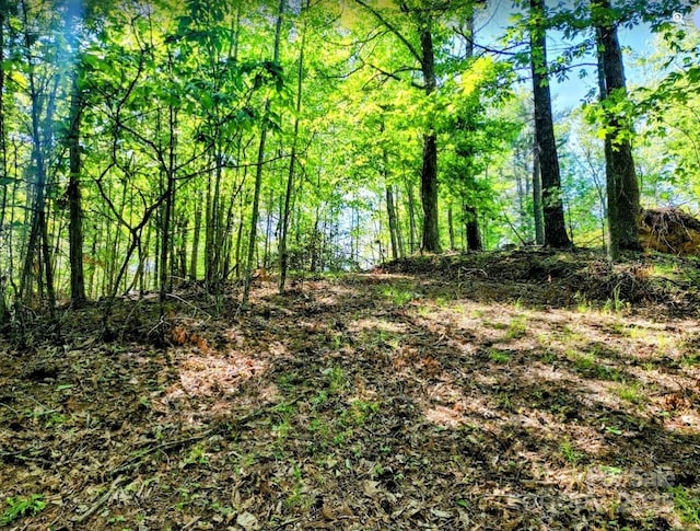 TBD Lucky Leaf Lane, Vilas, NC 28692