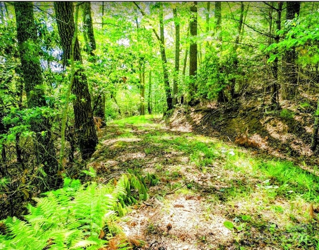 TBD Lucky Leaf Lane, Vilas, NC 28692