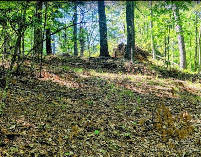TBD Lucky Leaf Lane, Vilas, NC 28692