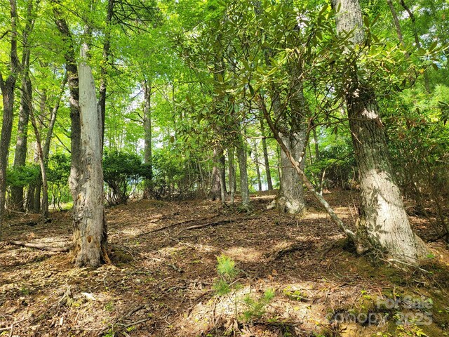 TBD Lucky Leaf Lane, Vilas, NC 28692