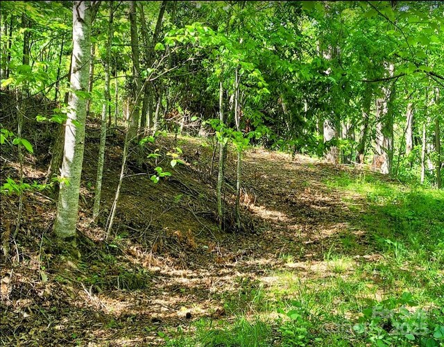 TBD Lucky Leaf Lane, Vilas, NC 28692