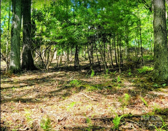 TBD Lucky Leaf Lane, Vilas, NC 28692