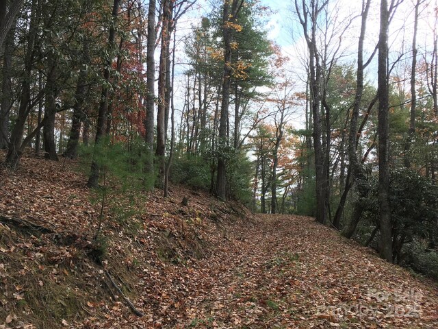 TBD Lucky Leaf Lane, Vilas, NC 28692